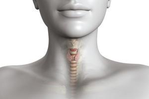 Best Dental Hospitals in Guntur,Best Dental Hospital in Guntur,Best Dental Doctor in Guntur,Best Dental Doctors in Guntur,Best Dental Clinic in Guntur,Best Dental Clinics in Guntur,Famous Dental Hospitla in guntur,Famous dental hospitals in guntur,Best Dental clinic near me,Best Evening Hospitals in Guntur,Best Orthodontist in guntur,Braces Treatment in Guntur,Best Dentist in Guntur,Best Dentists in Guntur,Best Habit breaking appliance treatment in Guntur,Hygienic dental Hospital in Guntur,Hygienic dental Hospitals in Guntur,Top Dentist in guntur,Top Dentistits in guntur,Top Dental Clinics in Guntur,Top Oarl Dental Clinics in Guntur,Top Dental Clinic in Guntur,Best Dental Implants in guntur,Top Dental Doctors in guntur,Top Dental Doctors in Guntur,Oral treatments and dental health services in Guntur,Oral treatments and dental health services in Guntur,Dental Braces in Guntur,Complete Dental Oral care in guntur,Best dental treatment in guntur,Best Fever Hospital in Guntur,Best Hypertensive Clinics in Guntur,Best thyroid doctors in guntur,Best Cardiologist in guntur,Best Evening clinics in Guntur